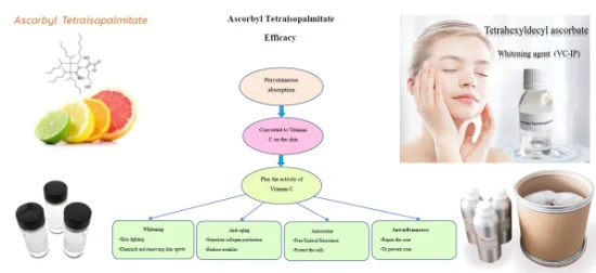 중국 화장품 원료 Ascorbyltetraisopalmitat CAS 183476-82-6